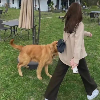 哥哥的情人